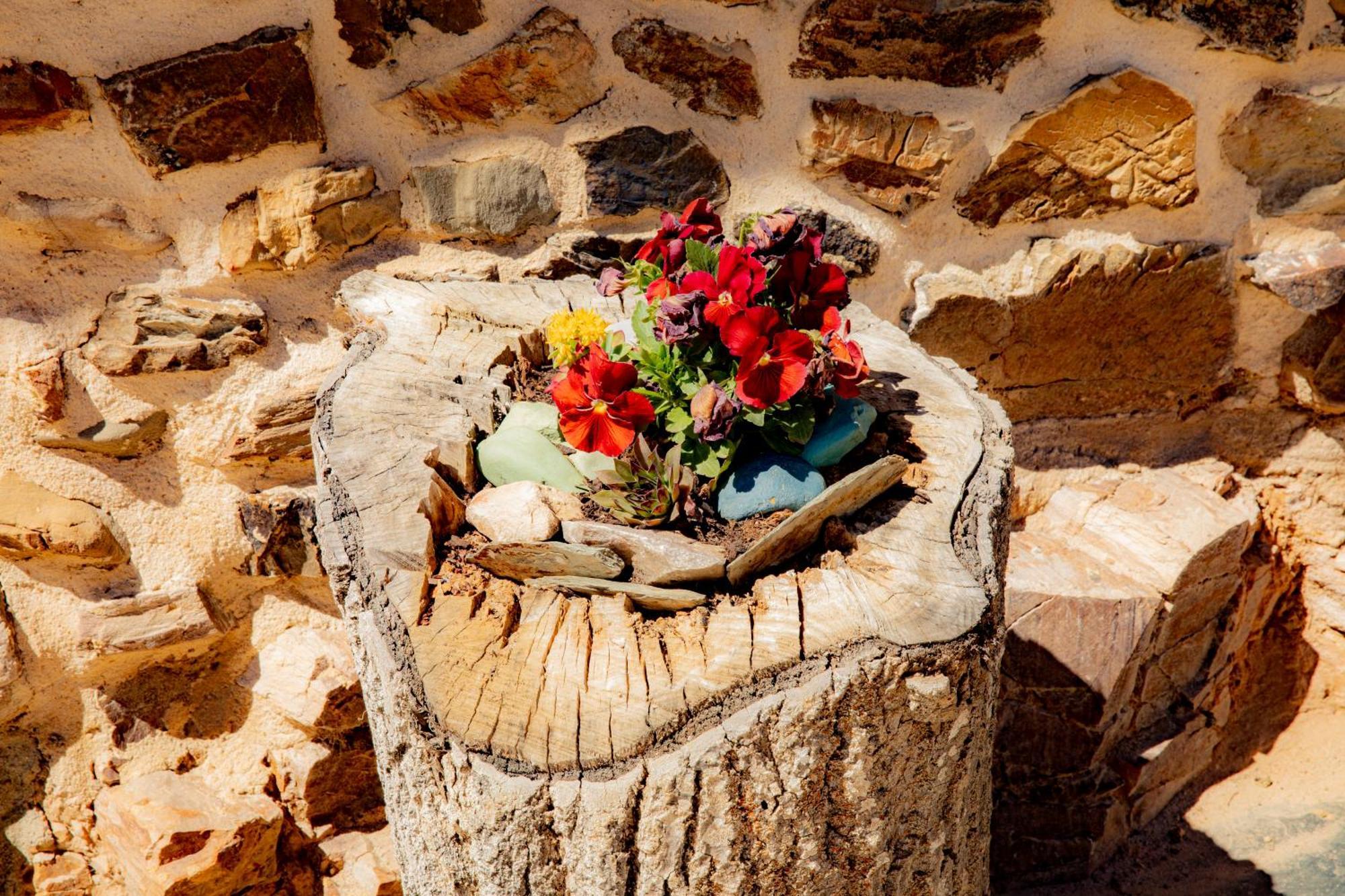 Via Avis Guest House Santa Catalina de Somoza ภายนอก รูปภาพ